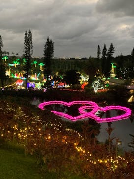 美らヤシパークオキナワ・東南植物楽園に投稿された画像（2023/2/15）