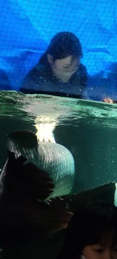 カワスイ 川崎⽔族館に投稿された画像（2023/2/15）