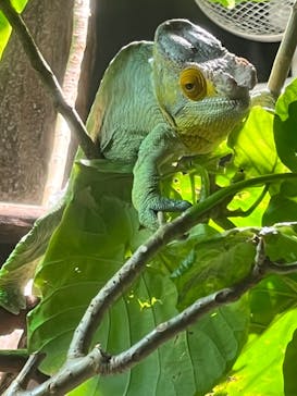 カワスイ 川崎⽔族館に投稿された画像（2023/2/15）