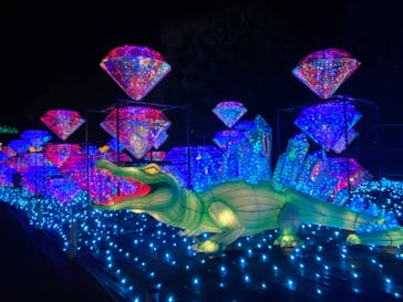 伊豆ぐらんぱる公園に投稿された画像（2023/2/16）