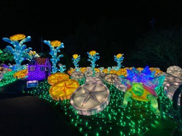 伊豆ぐらんぱる公園に投稿された画像（2023/2/16）