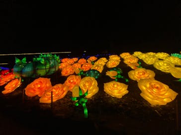 伊豆ぐらんぱる公園に投稿された画像（2023/2/16）