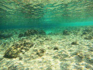 沖縄マリンサービス碧に投稿された画像（2023/2/16）