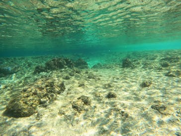 沖縄マリンサービス碧に投稿された画像（2023/2/16）