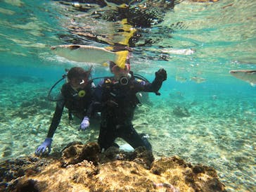 沖縄マリンサービス碧に投稿された画像（2023/2/16）