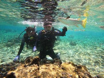 沖縄マリンサービス碧に投稿された画像（2023/2/16）