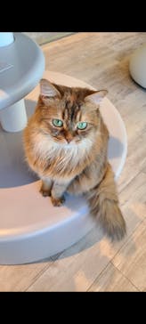 カワスイ 川崎⽔族館に投稿された画像（2023/2/16）