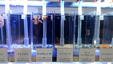 新江ノ島水族館に投稿された画像（2023/2/16）