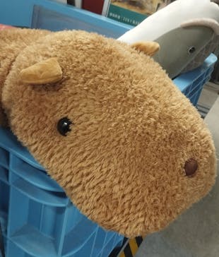 カワスイ 川崎⽔族館に投稿された画像（2023/2/16）