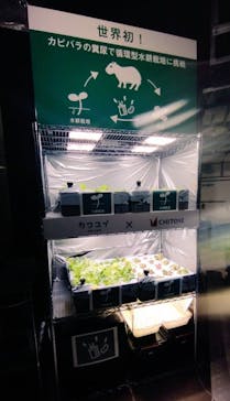 カワスイ 川崎⽔族館に投稿された画像（2023/2/16）