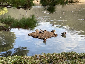 三溪園に投稿された画像（2023/2/16）