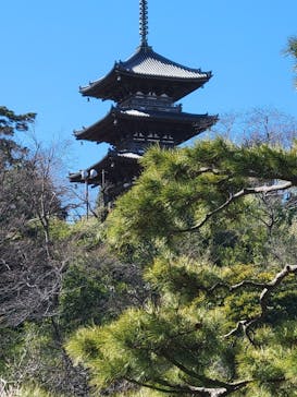 三溪園に投稿された画像（2023/2/16）