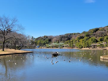 三溪園に投稿された画像（2023/2/16）