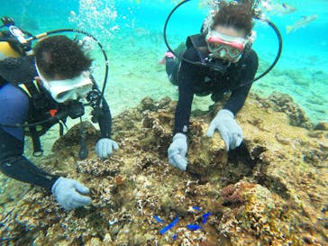 沖縄マリンサービス碧に投稿された画像（2023/2/16）