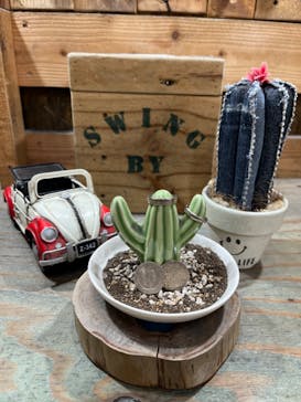 SWING BY（スウィング バイ）に投稿された画像（2023/2/16）