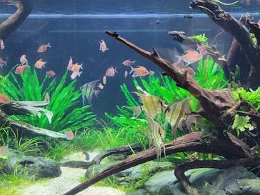 カワスイ 川崎⽔族館に投稿された画像（2023/2/16）