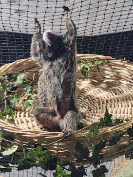 カワスイ 川崎⽔族館に投稿された画像（2023/2/16）