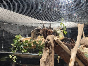 カワスイ 川崎⽔族館に投稿された画像（2023/2/16）