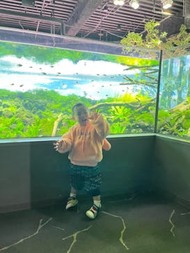 カワスイ 川崎⽔族館に投稿された画像（2023/2/16）