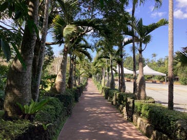 美らヤシパークオキナワ・東南植物楽園に投稿された画像（2023/2/16）