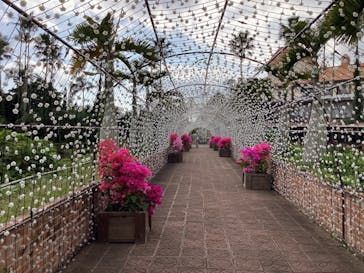 美らヤシパークオキナワ・東南植物楽園に投稿された画像（2023/2/16）