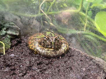 サンシャイン水族館に投稿された画像（2023/2/16）