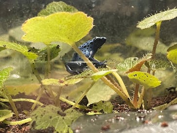 サンシャイン水族館に投稿された画像（2023/2/16）