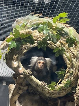 カワスイ 川崎⽔族館に投稿された画像（2023/2/16）
