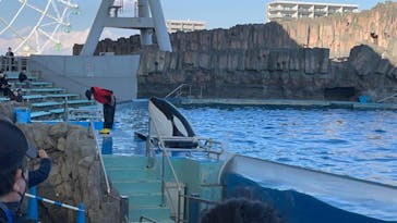 名古屋港水族館に投稿された画像（2023/2/16）
