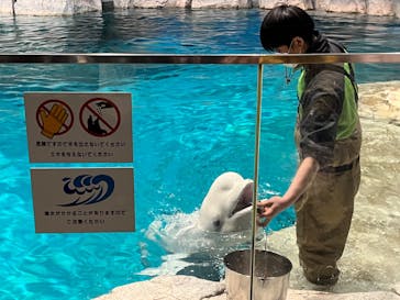 名古屋港水族館に投稿された画像（2023/2/16）