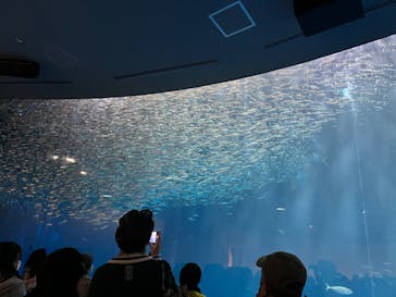 名古屋港水族館に投稿された画像（2023/2/16）