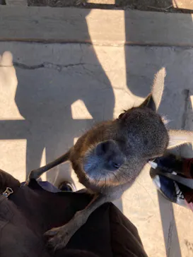 横浜・八景島シーパラダイスに投稿された画像（2023/2/16）