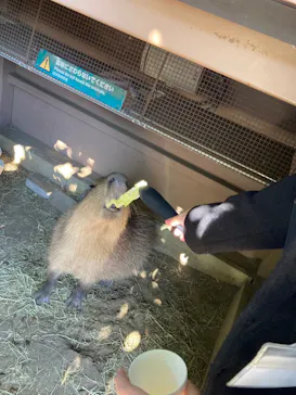 横浜・八景島シーパラダイスに投稿された画像（2023/2/16）
