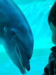 しながわ水族館に投稿された画像（2023/2/16）