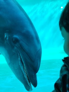しながわ水族館に投稿された画像（2023/2/16）