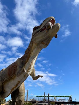 伊豆ぐらんぱる公園に投稿された画像（2023/2/16）