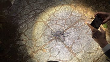 宮古島 ADVENTURE PiPi（ミヤコジマ アドベンチャー ピピ）に投稿された画像（2023/2/17）