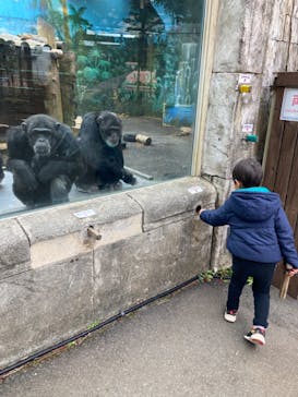 伊豆シャボテン動物公園に投稿された画像（2023/2/17）