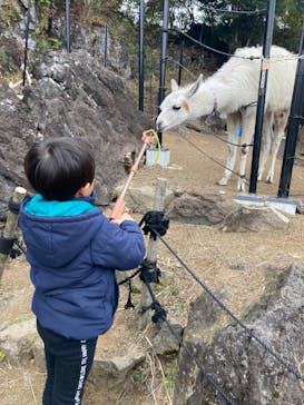 伊豆シャボテン動物公園に投稿された画像（2023/2/17）