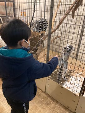 伊豆シャボテン動物公園に投稿された画像（2023/2/17）