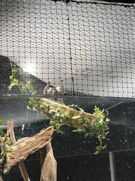 カワスイ 川崎⽔族館に投稿された画像（2023/2/17）