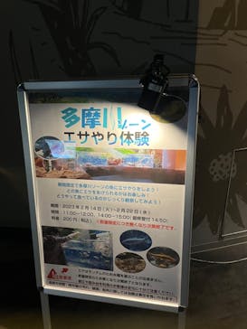 カワスイ 川崎⽔族館に投稿された画像（2023/2/17）