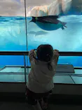 名古屋港水族館に投稿された画像（2023/2/17）