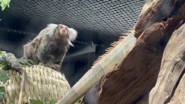 カワスイ 川崎⽔族館に投稿された画像（2023/2/17）