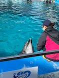 名古屋港水族館に投稿された画像（2023/2/17）