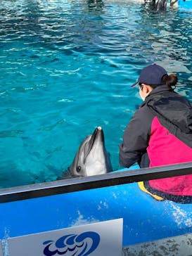 名古屋港水族館に投稿された画像（2023/2/17）