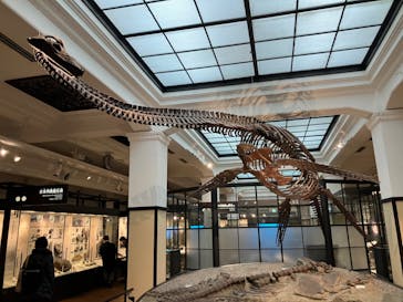 国立科学博物館に投稿された画像（2023/2/17）