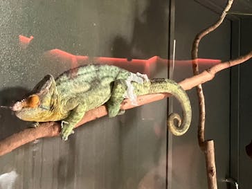 カワスイ 川崎⽔族館に投稿された画像（2023/2/17）