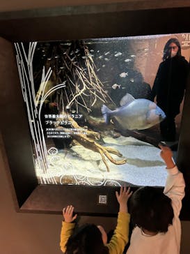 カワスイ 川崎⽔族館に投稿された画像（2023/2/17）