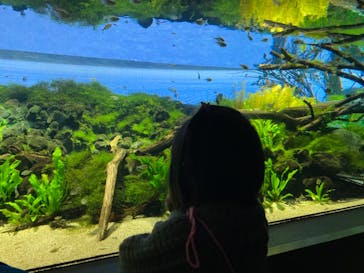 カワスイ 川崎⽔族館に投稿された画像（2023/2/17）